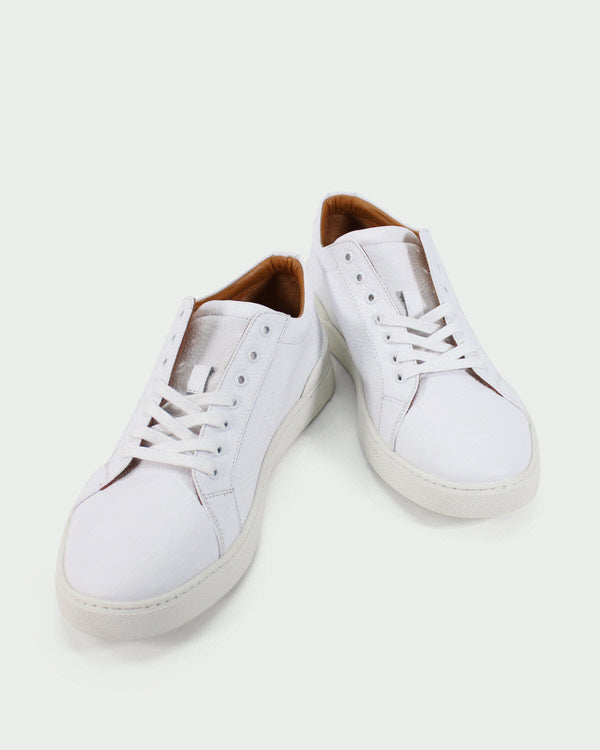 Sigotto uomo Sneaker