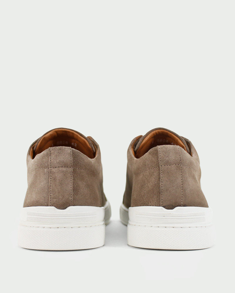 Sigotto uomo Sneaker